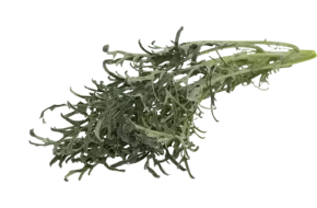 Jagallo Nero Palmkool 250gr.